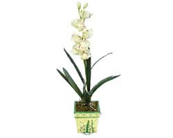 zel Yapay Orkide Beyaz   Artvin online ieki , iek siparii 