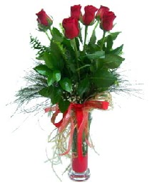 vazo içerisinde 5 kırmızı gül  Artvin güvenli kaliteli hızlı çiçek 
