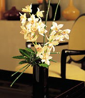  Artvin iekiler  cam yada mika vazo ierisinde dal orkide