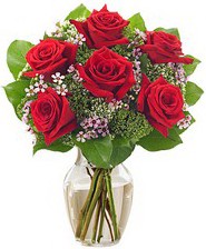 Kız arkadaşıma hediye 6 kırmızı gül  Artvin internetten çiçek siparişi 