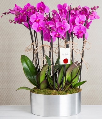 11 dall mor orkide metal vazoda  Artvin iek gnderme sitemiz gvenlidir 